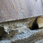 Close-up of deteriorating wood and structural damage in a basement, illustrating the foundation issues addressed by Toledo Basement Repair for waterproofing and structural reinforcement.