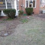 Landscaped area outside a house with trimmed bushes and a patch of grass, illustrating the property improvements made during the foundation repair project by Toledo Basement Repair.
