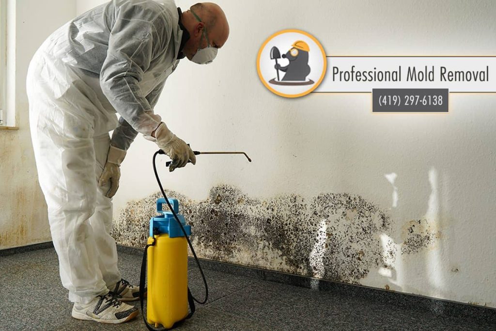 mold-remediation
