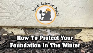 protect foundation