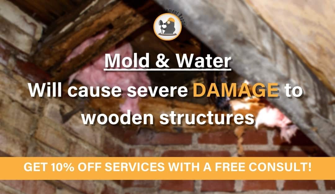 Structural Repairs for Damaged Wood