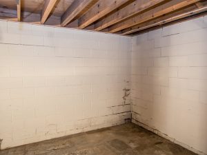 Basement Inspection