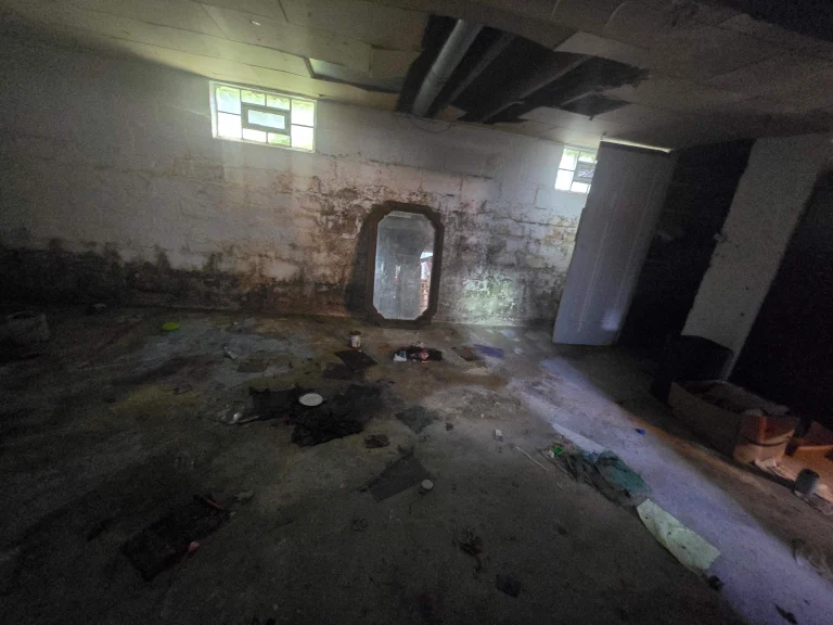 Dimly lit, cluttered basement with peeling white walls, a mirror, scattered debris on the floor, and two small windows casting faint light. Quiet, abandoned vibe.