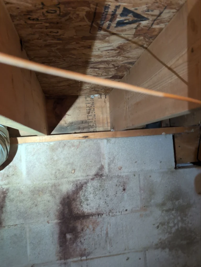 View of an unfinished wooden staircase, plywood and cinder block walls. Floor shows dark stains, creating a somber, neglected atmosphere.